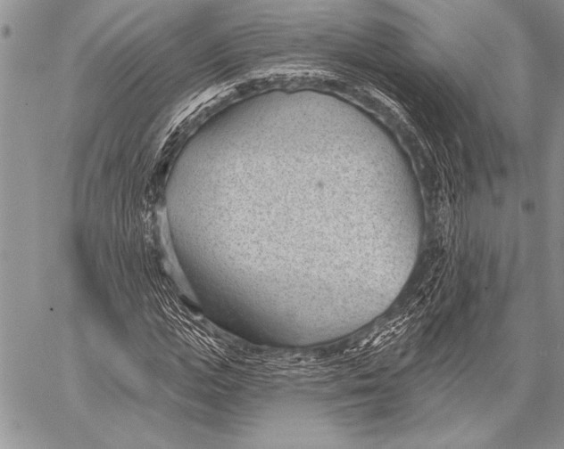 X0000058120823200510171308