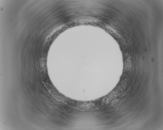 X0000058120824200510171308