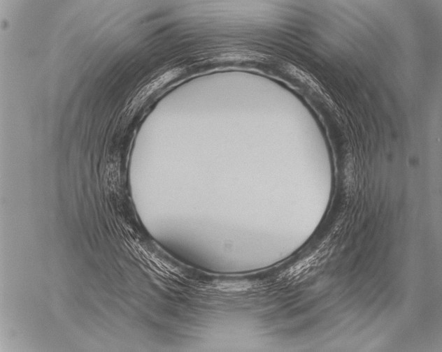 X0000058120825200510171308