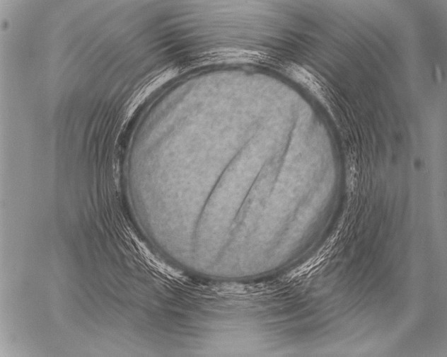 X0000058120827200510171308