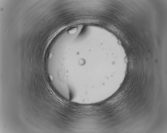 X0000058120828200510171308