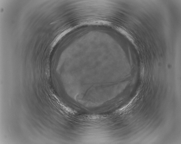 X0000058120829200510171308