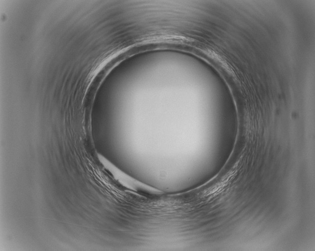 X0000058120830200510171308