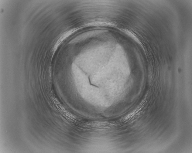 X0000058120831200510171308