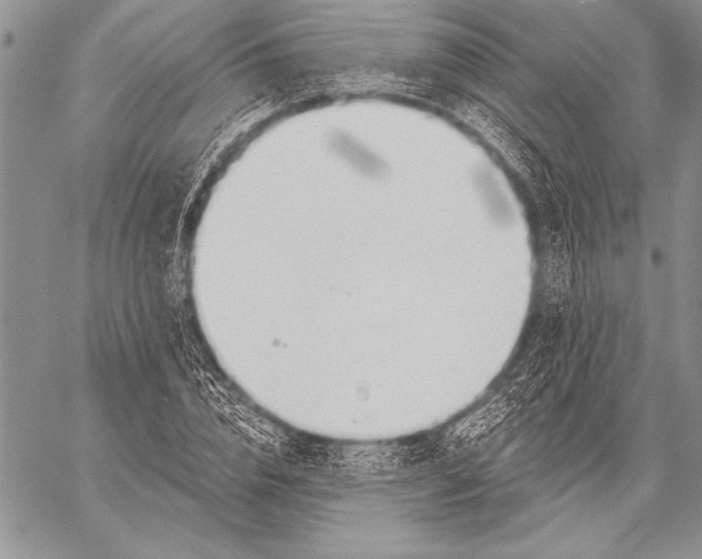 X0000058120832200510171308