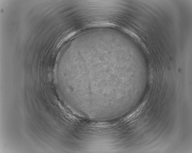 X0000058120833200510171308