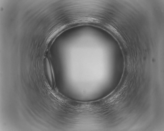 X0000058120834200510171308