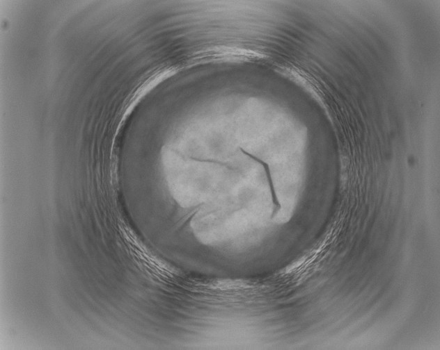 X0000058120835200510171308