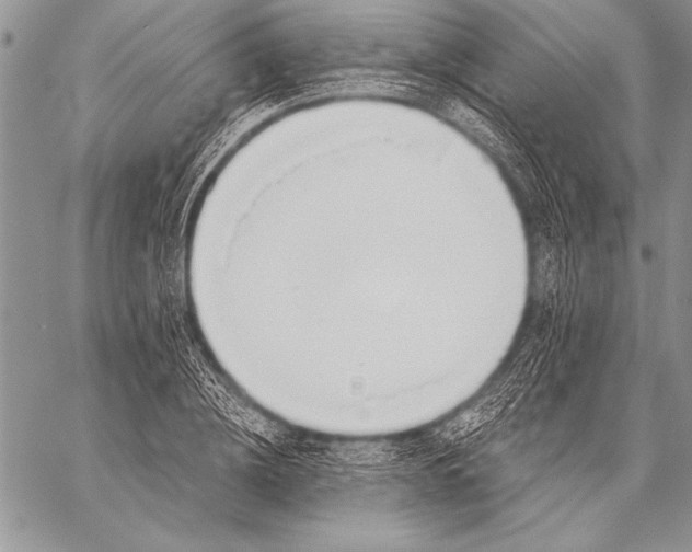 X0000058120836200510171308