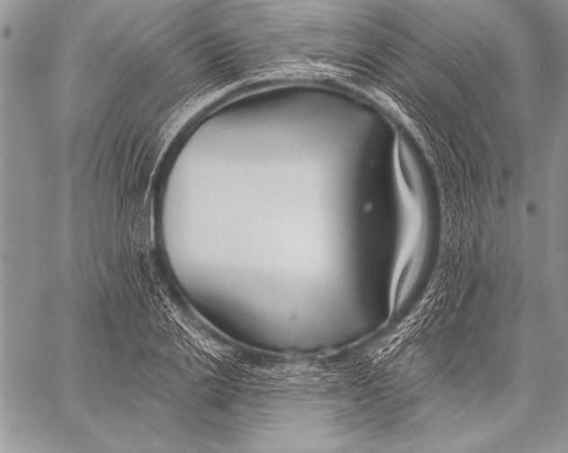 X0000058120838200510171308