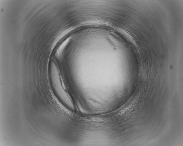 X0000058120839200510171308