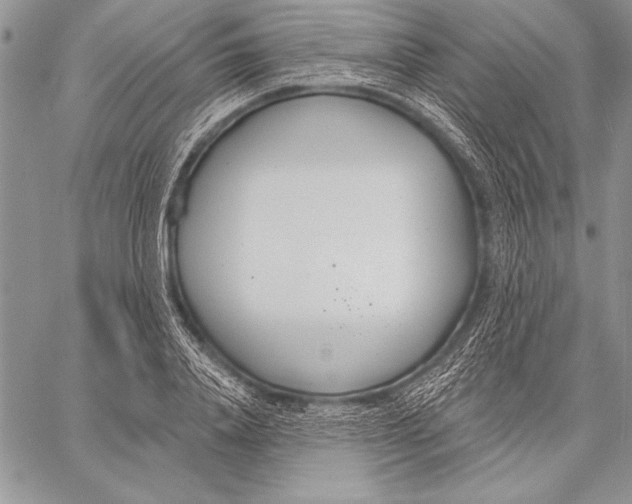 X0000058120840200510171308