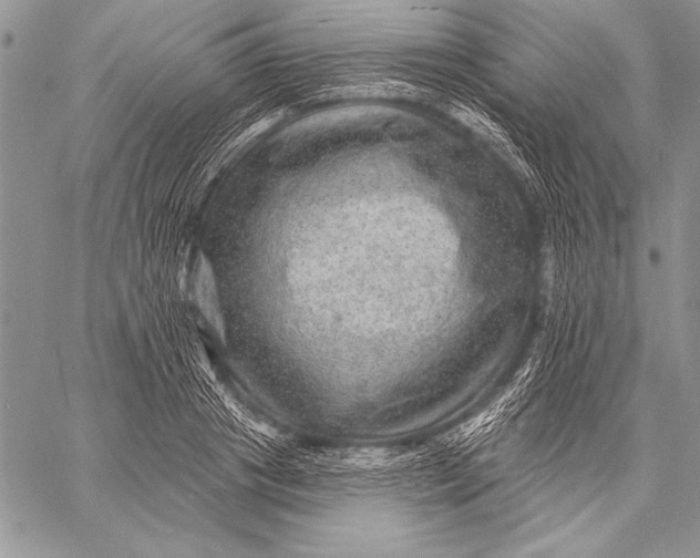 X0000058120841200510171308