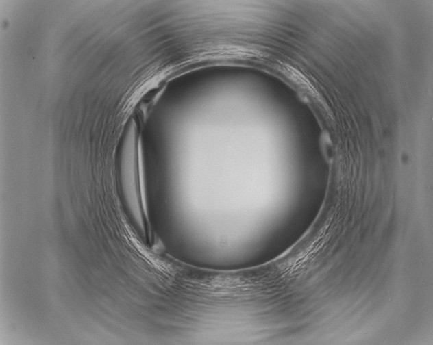 X0000058120842200510171308