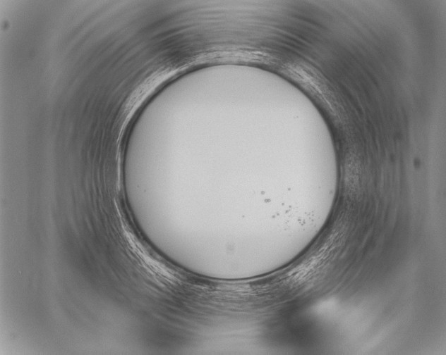 X0000058120844200510171308