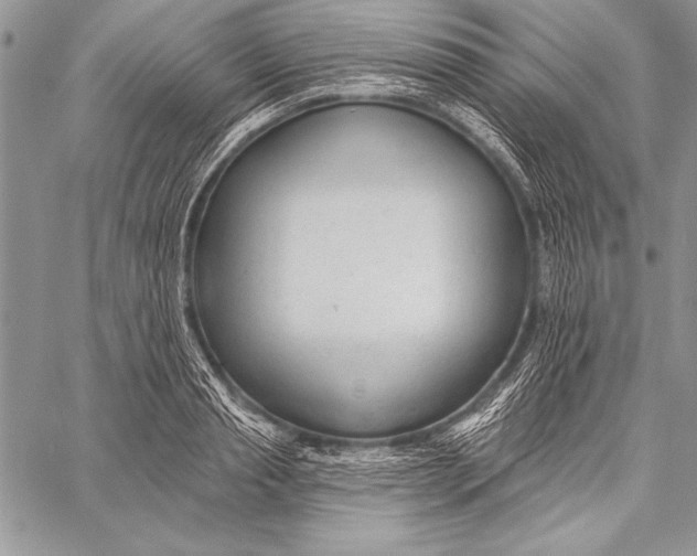 X0000058120845200510171308