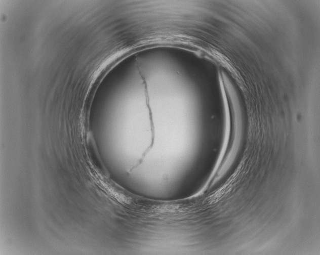 X0000058120846200510171308