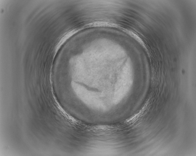 X0000058120847200510171308