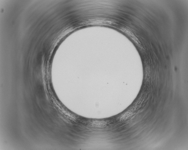 X0000058120848200510171308