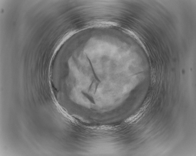 X0000058120851200510171308