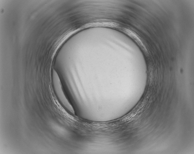 X0000058120852200510171308