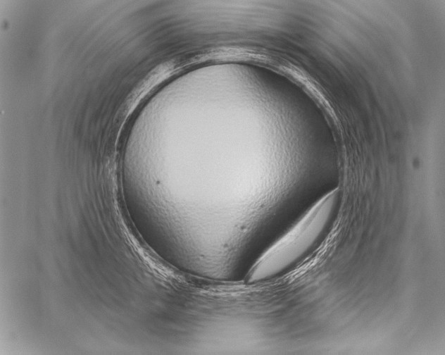 X0000058120853200510171308