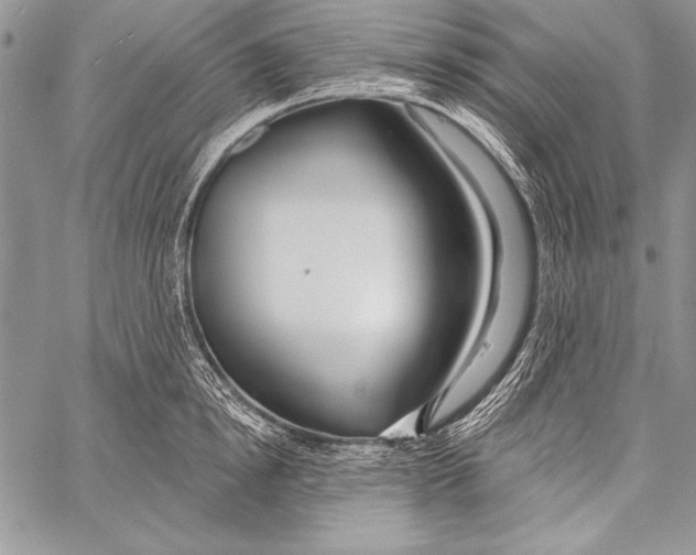 X0000058120854200510171308