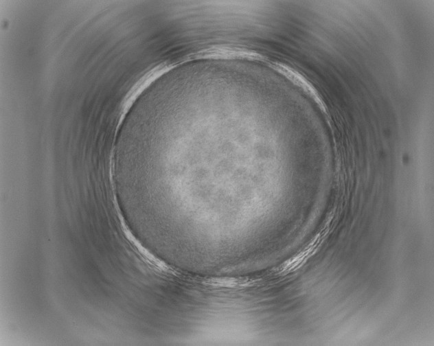 X0000058120855200510171308