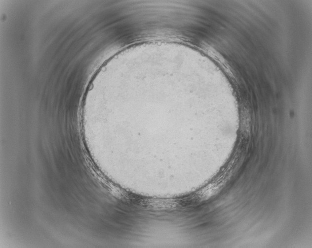 X0000058120856200510171308