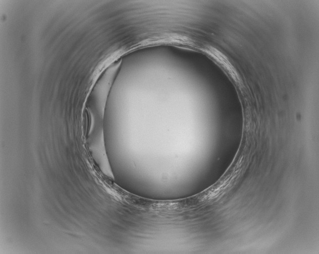 X0000058120858200510171308