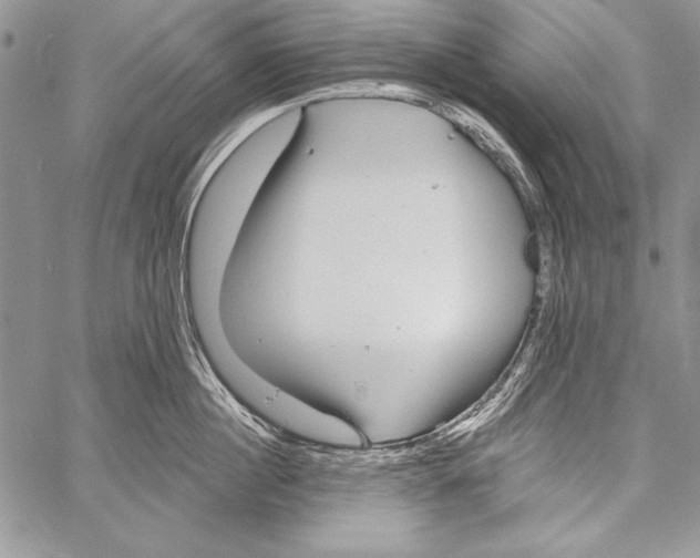 X0000058120860200510171308