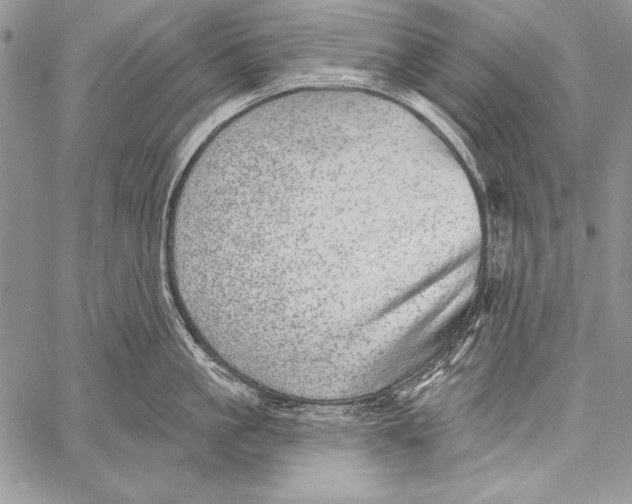 X0000058120861200510171308