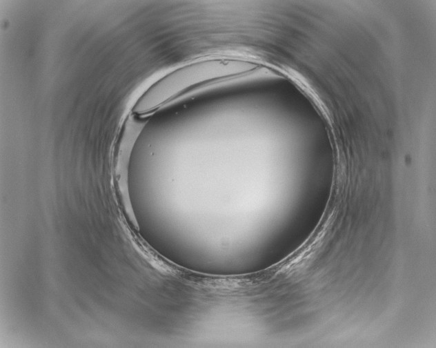 X0000058120862200510171308