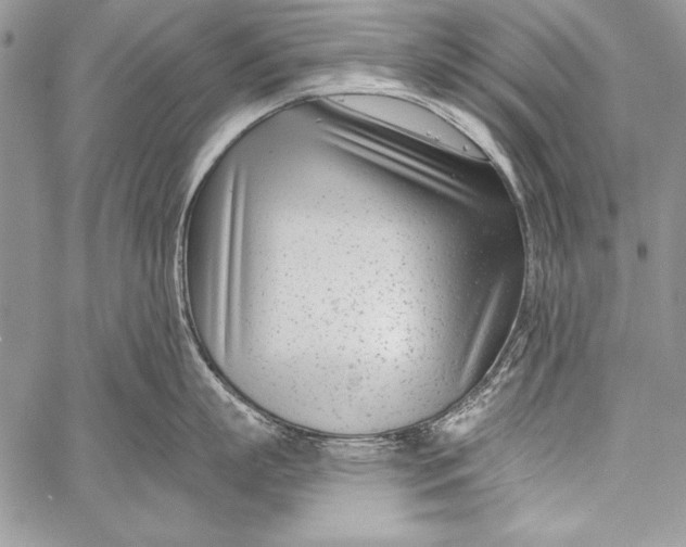 X0000058120863200510171308