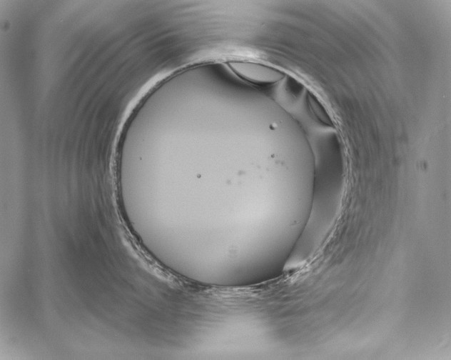 X0000058120864200510171308