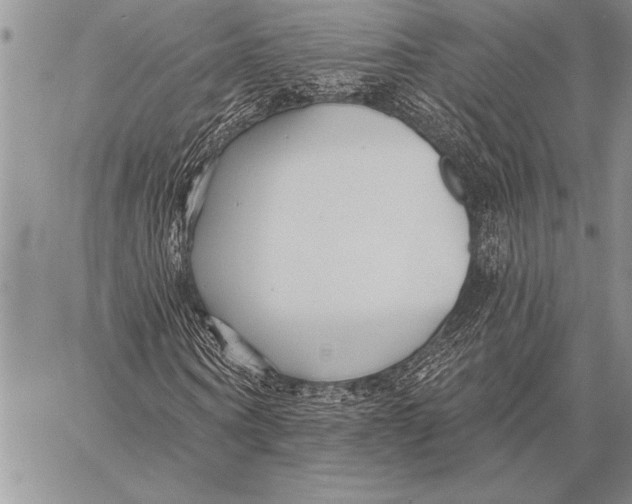 X0000058120866200510171307