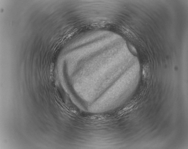 X0000058120867200510171307