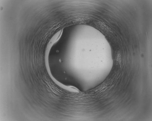 X0000058120868200510171307