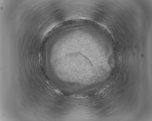 X0000058120871200510171307