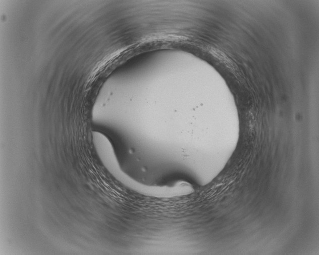 X0000058120872200510171307