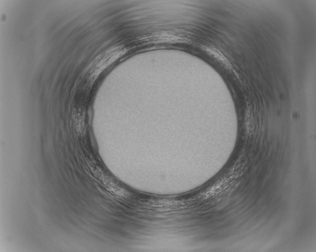 X0000058120873200510171307