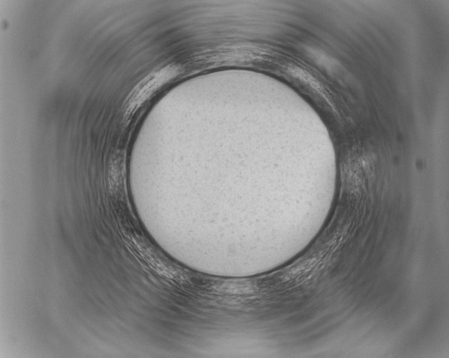 X0000058120874200510171307