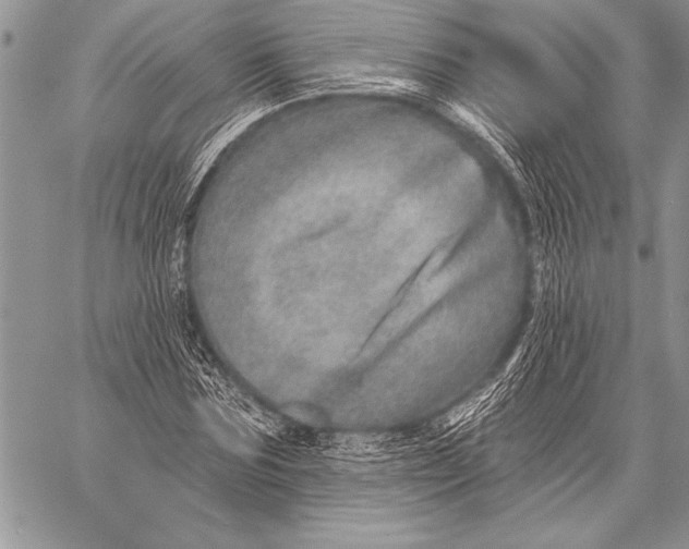 X0000058120875200510171307