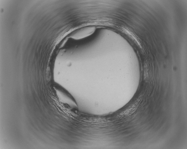 X0000058120876200510171307