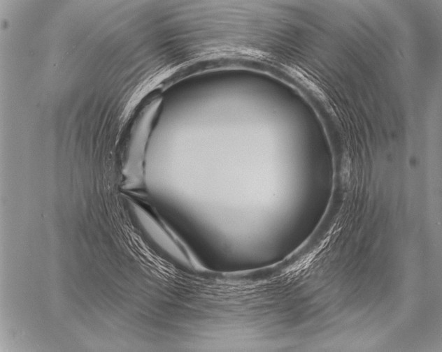 X0000058120877200510171307