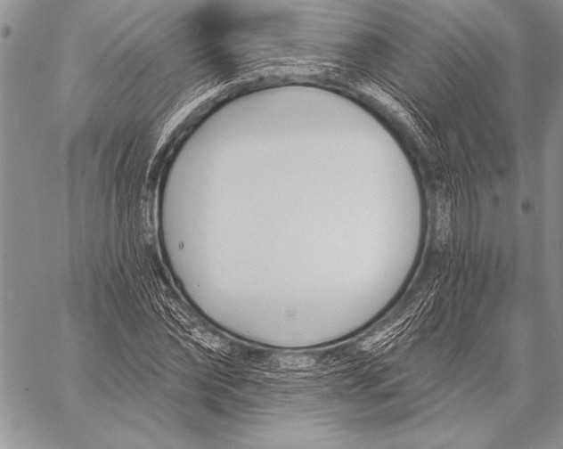 X0000058120878200510171307