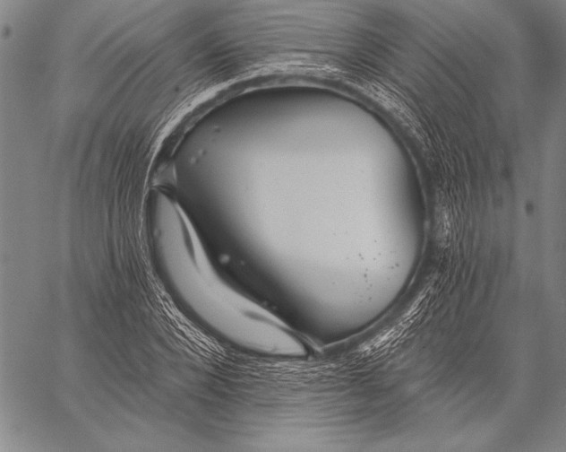 X0000058120880200510171307