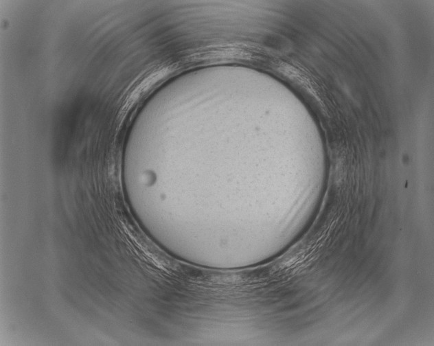 X0000058120882200510171307