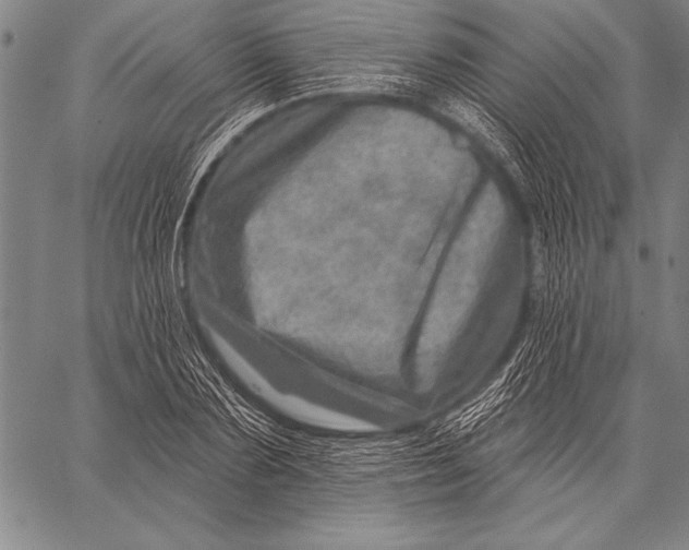 X0000058120883200510171307