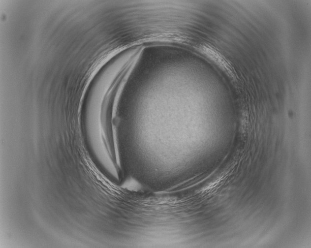 X0000058120884200510171307